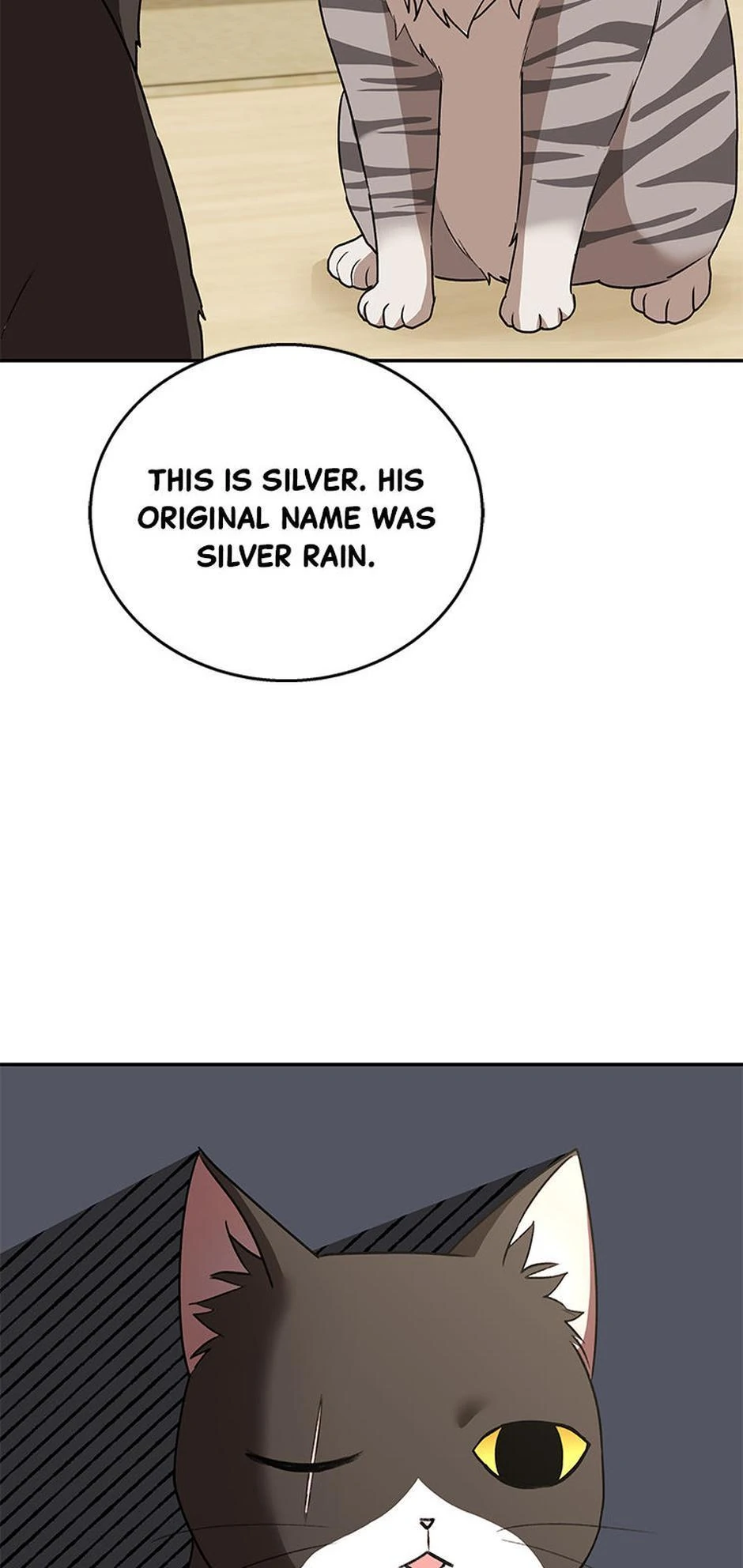 Hello! Veterinarian! chapter 30 page 33