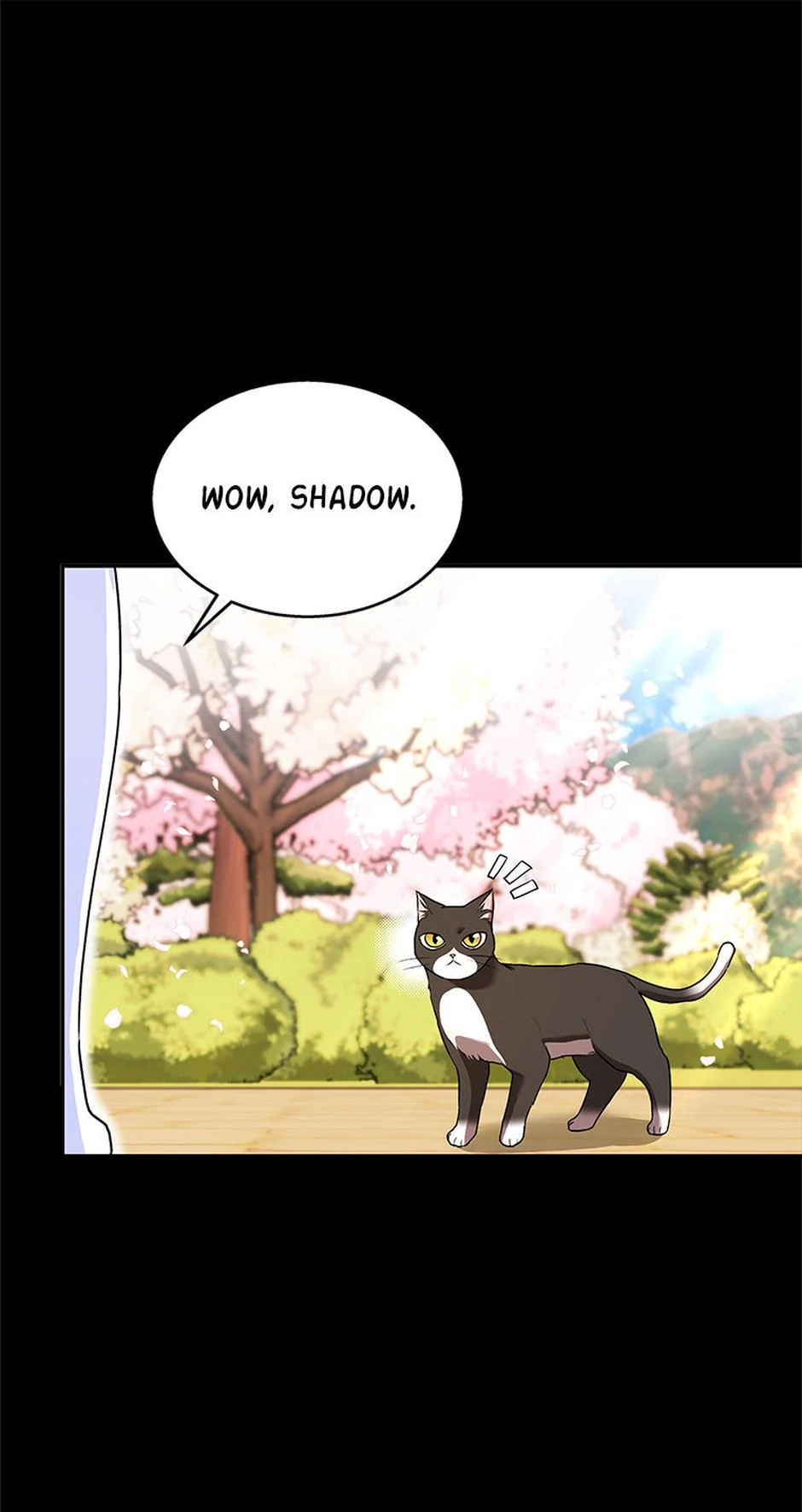 Hello! Veterinarian! chapter 30 page 62