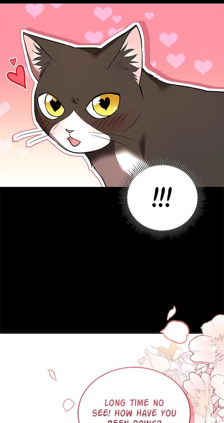 Hello! Veterinarian! chapter 30 page 63