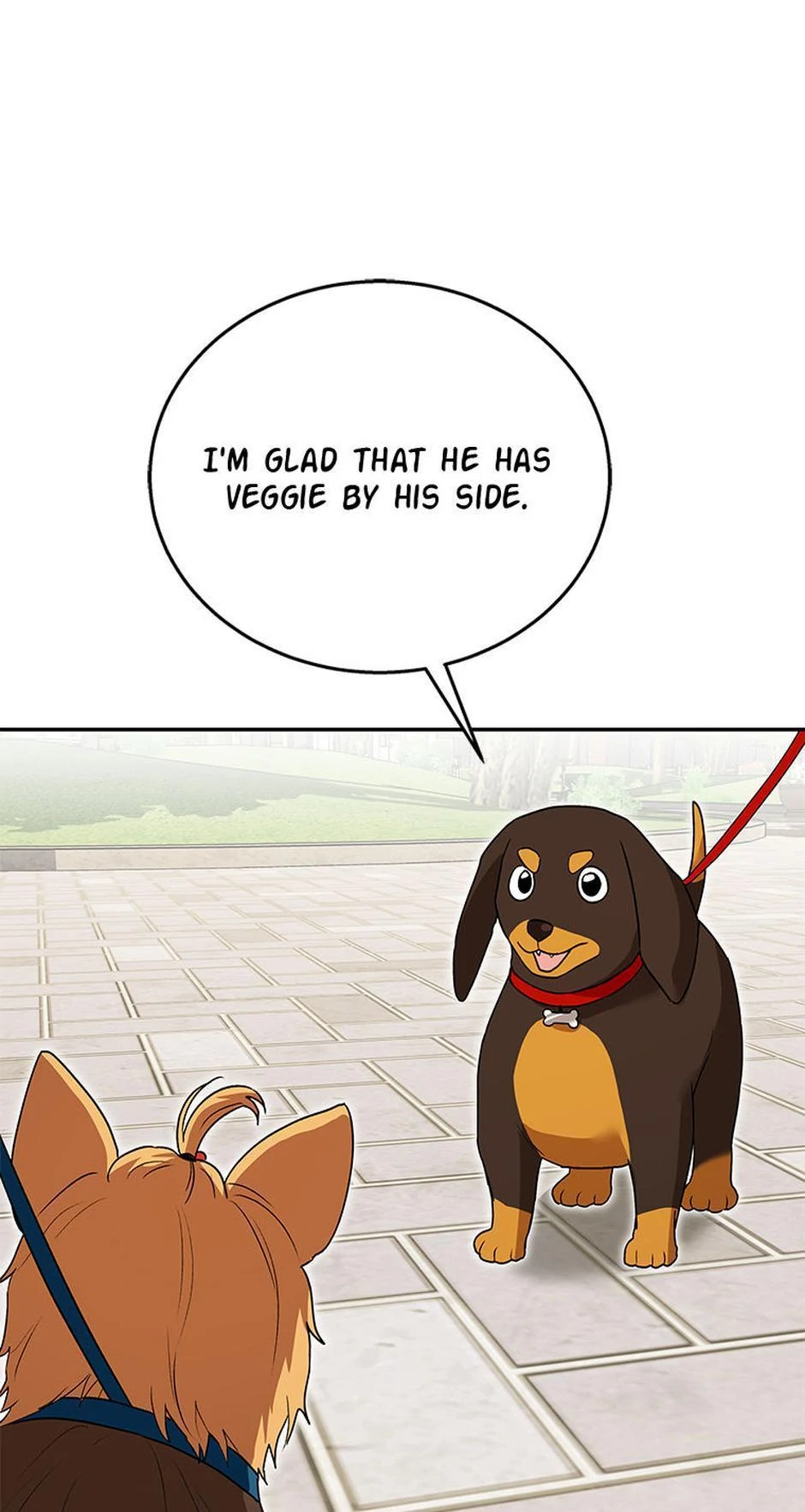 Hello! Veterinarian! chapter 32 page 13