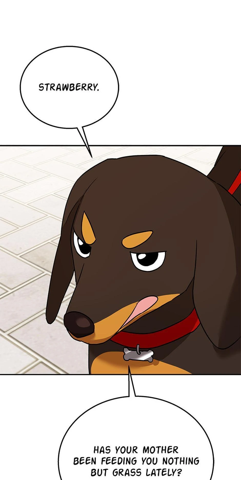 Hello! Veterinarian! chapter 32 page 31