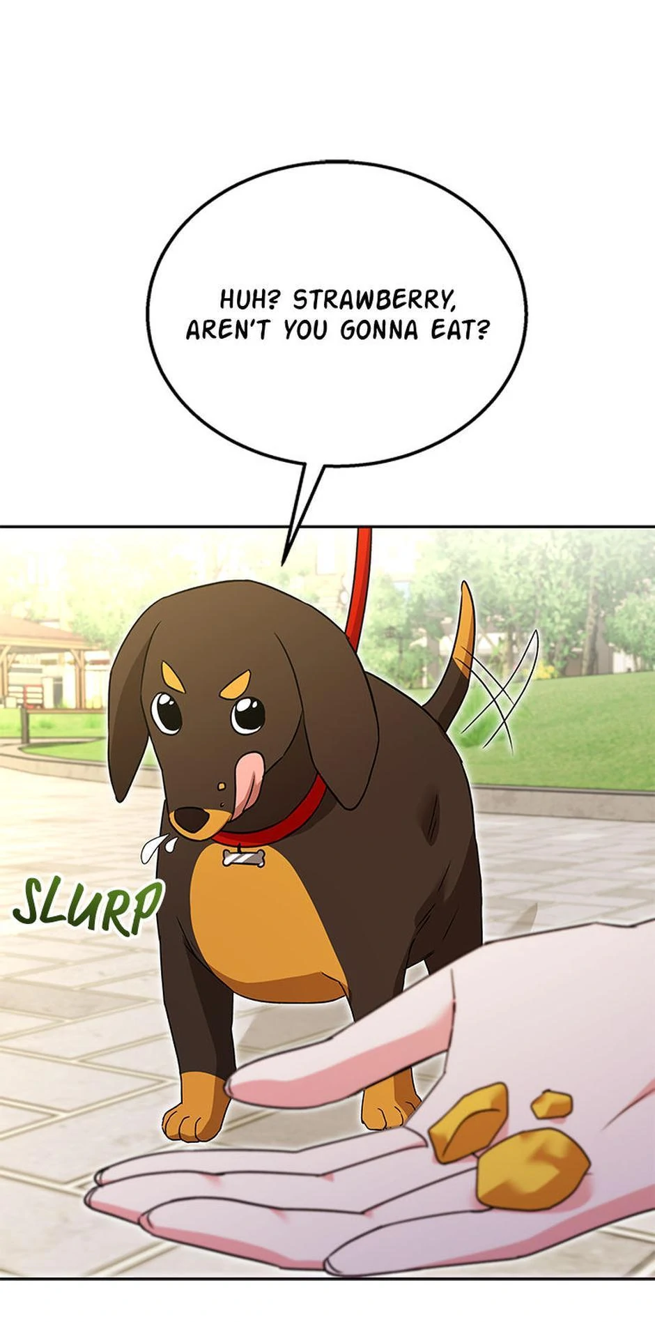 Hello! Veterinarian! chapter 32 page 55