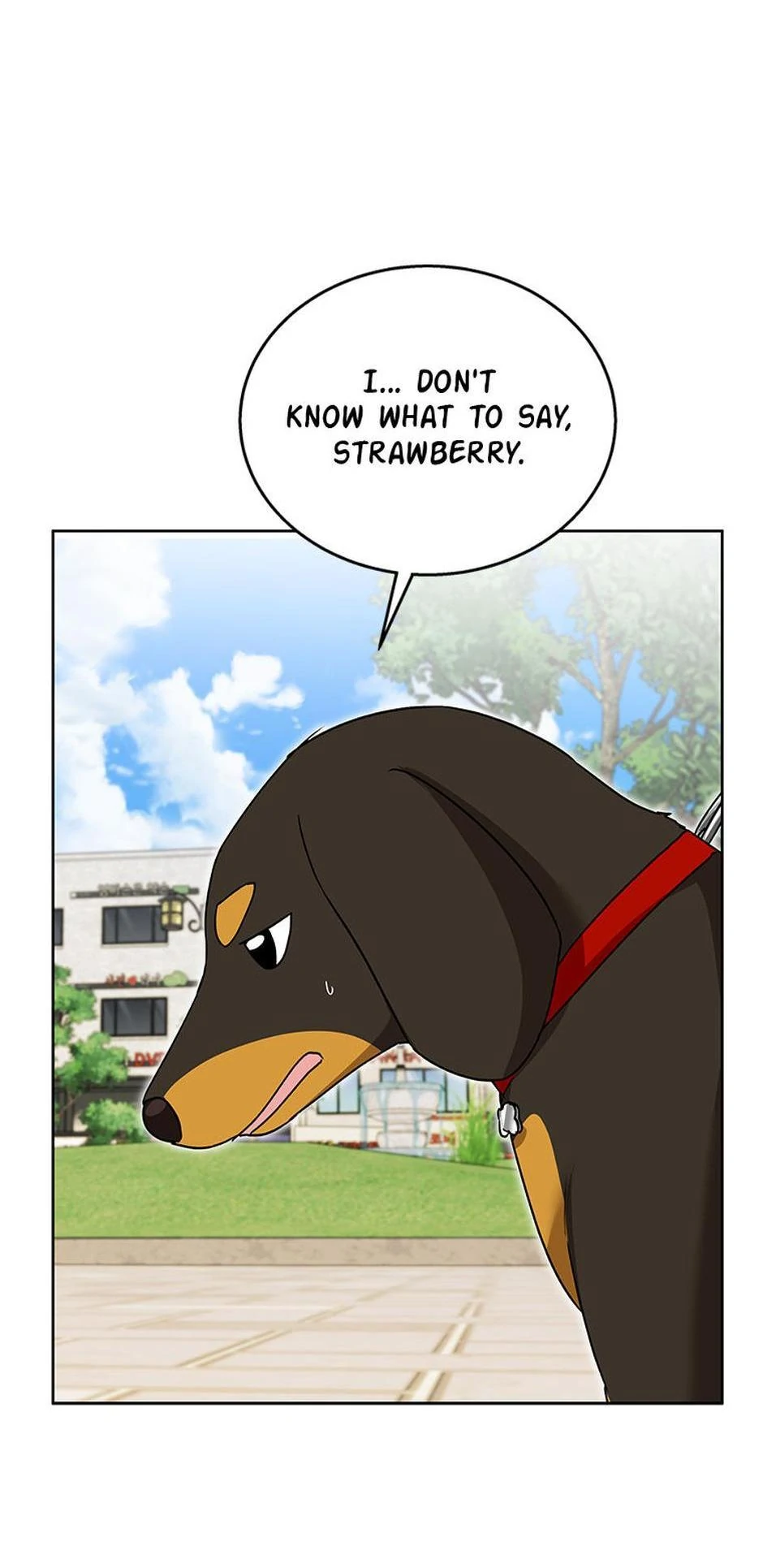 Hello! Veterinarian! chapter 32 page 62
