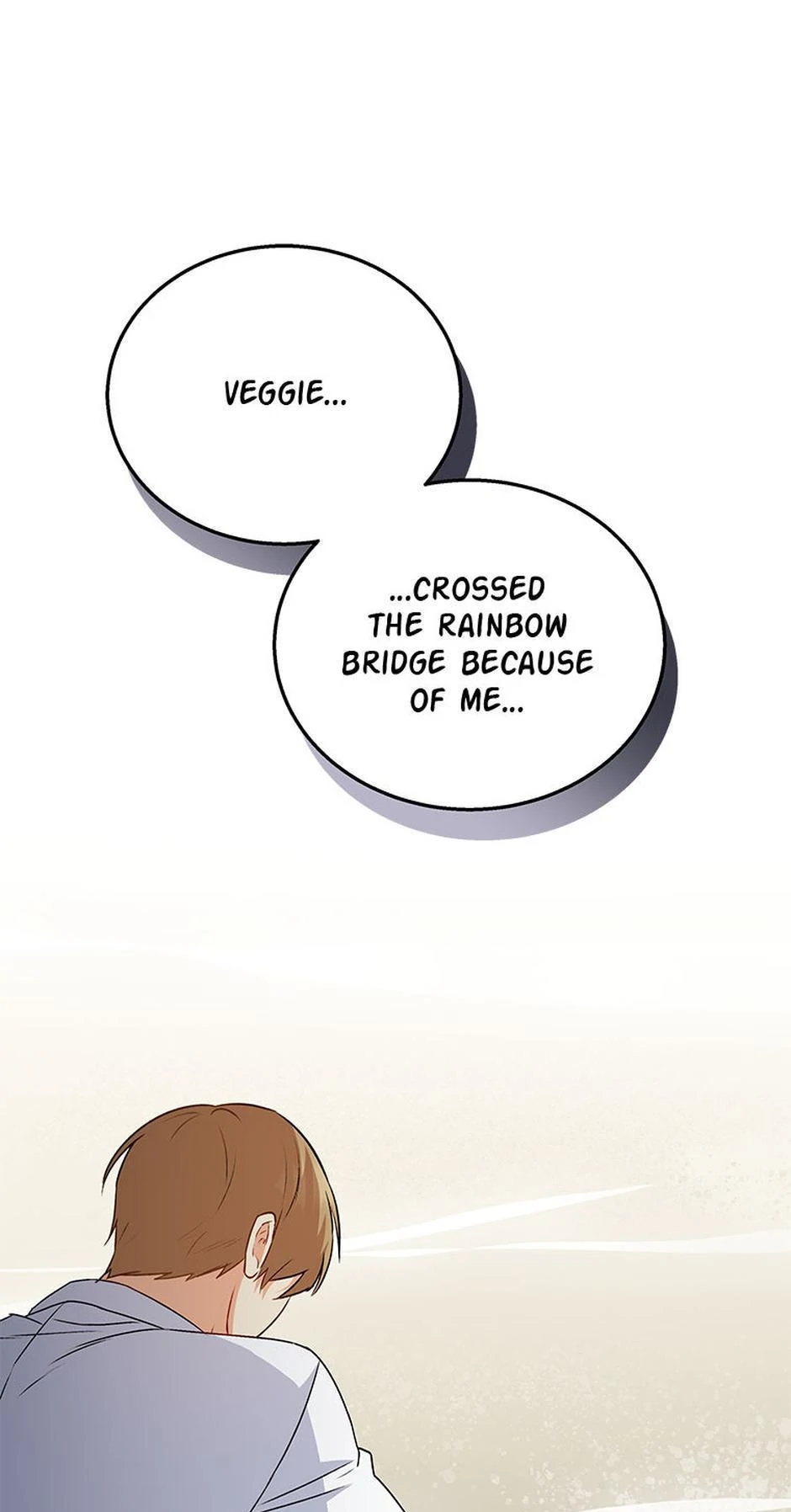 Hello! Veterinarian! chapter 33 page 62