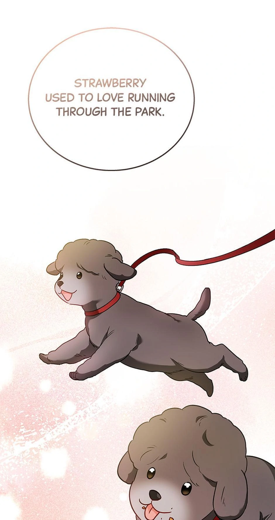 Hello! Veterinarian! chapter 33 page 7