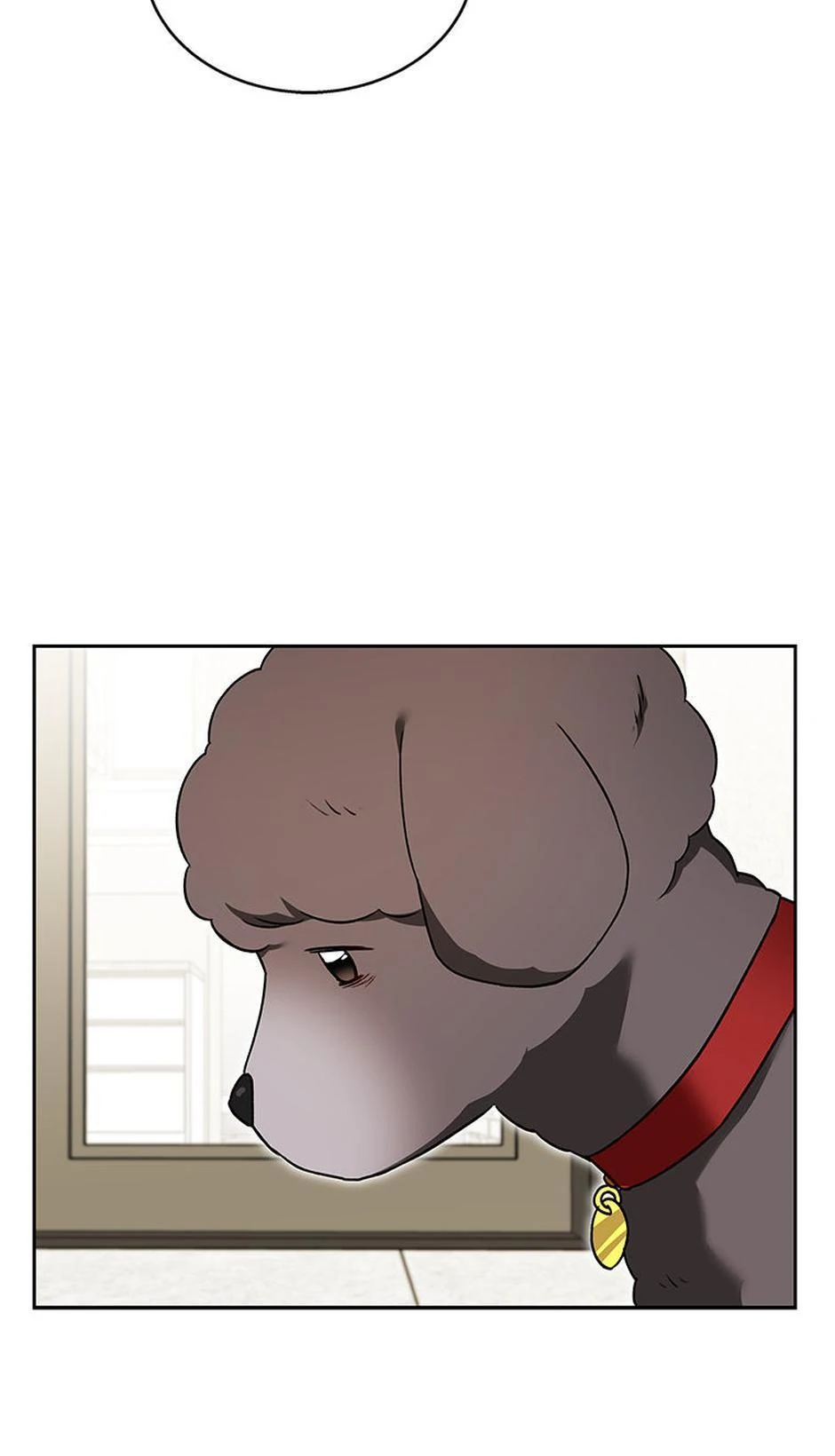 Hello! Veterinarian! chapter 34 page 13