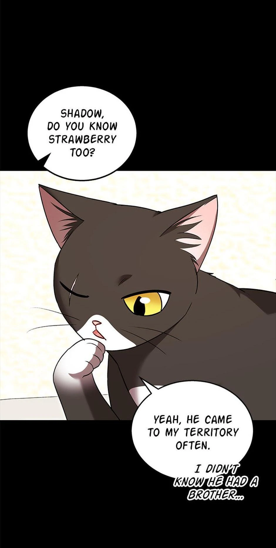 Hello! Veterinarian! chapter 35 page 3