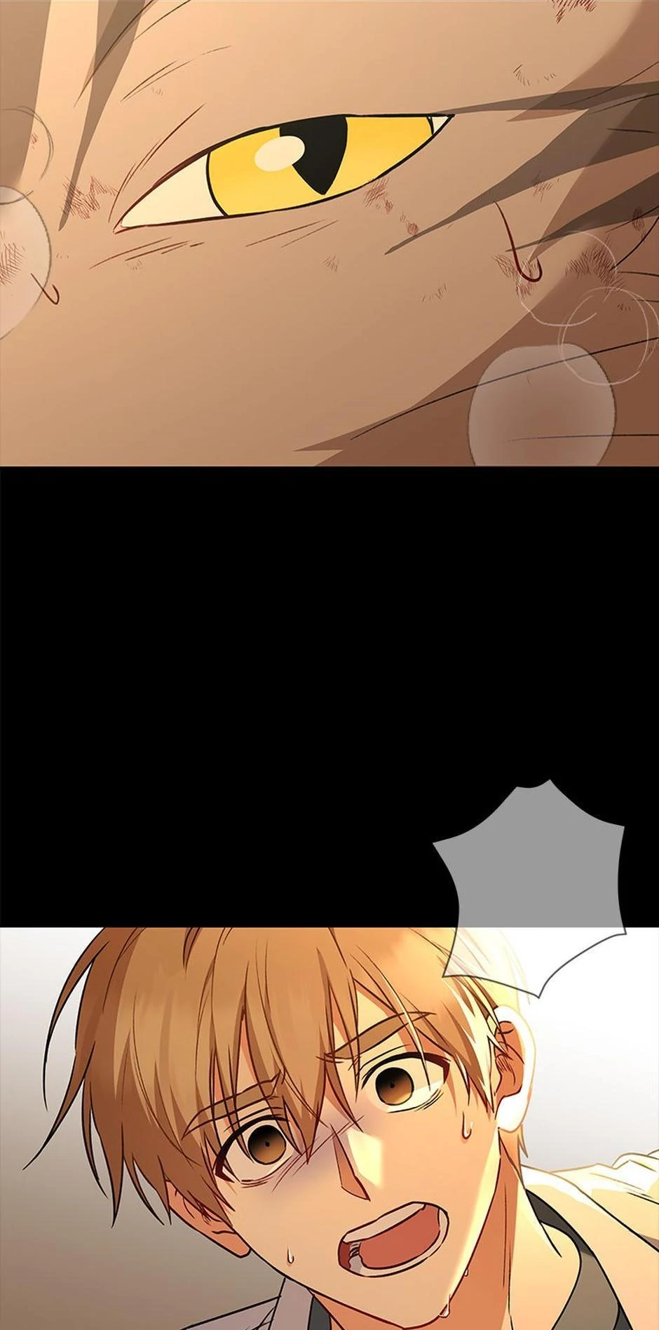 Hello! Veterinarian! chapter 35 page 40