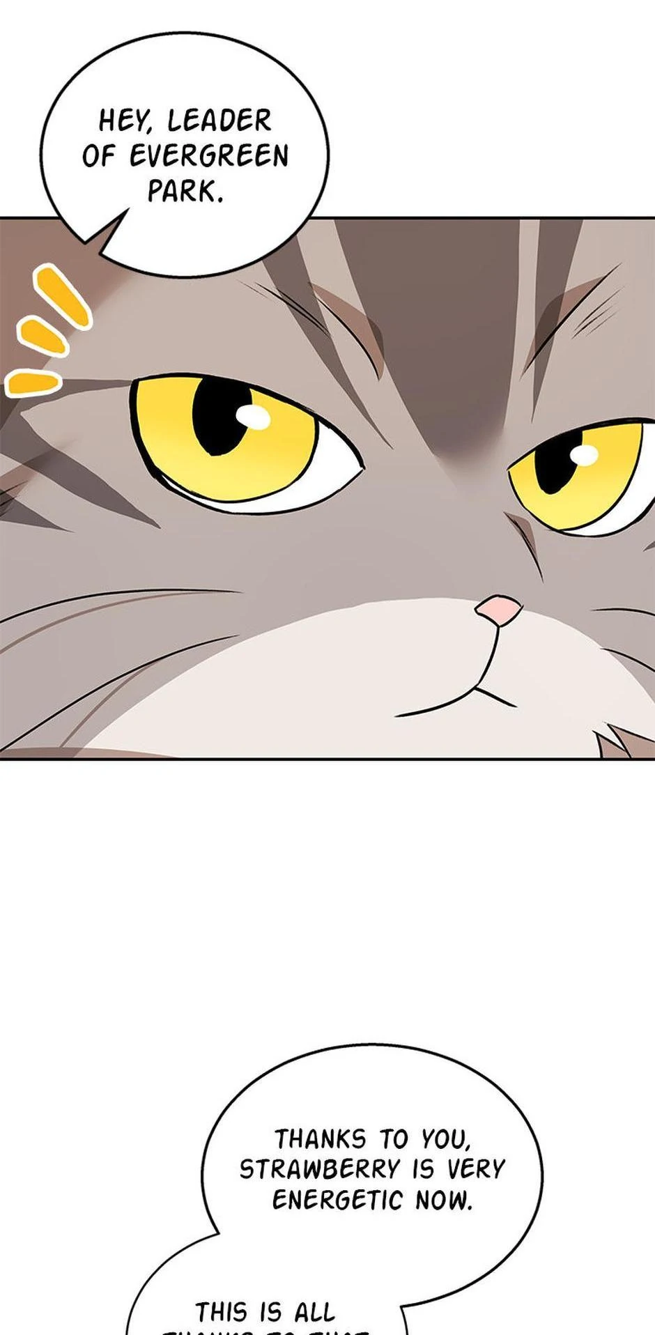 Hello! Veterinarian! chapter 35 page 69