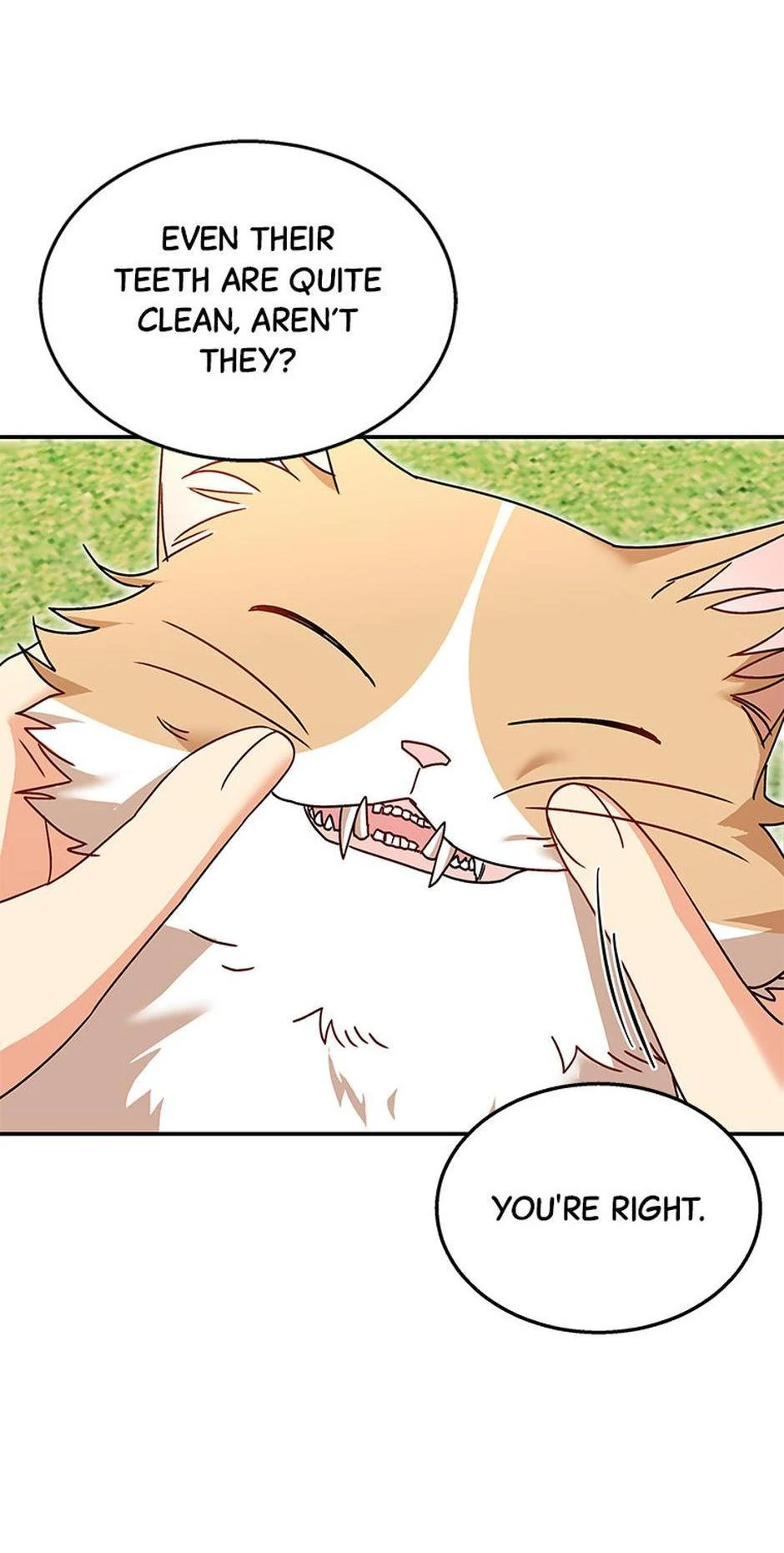 Hello! Veterinarian! chapter 40 page 27