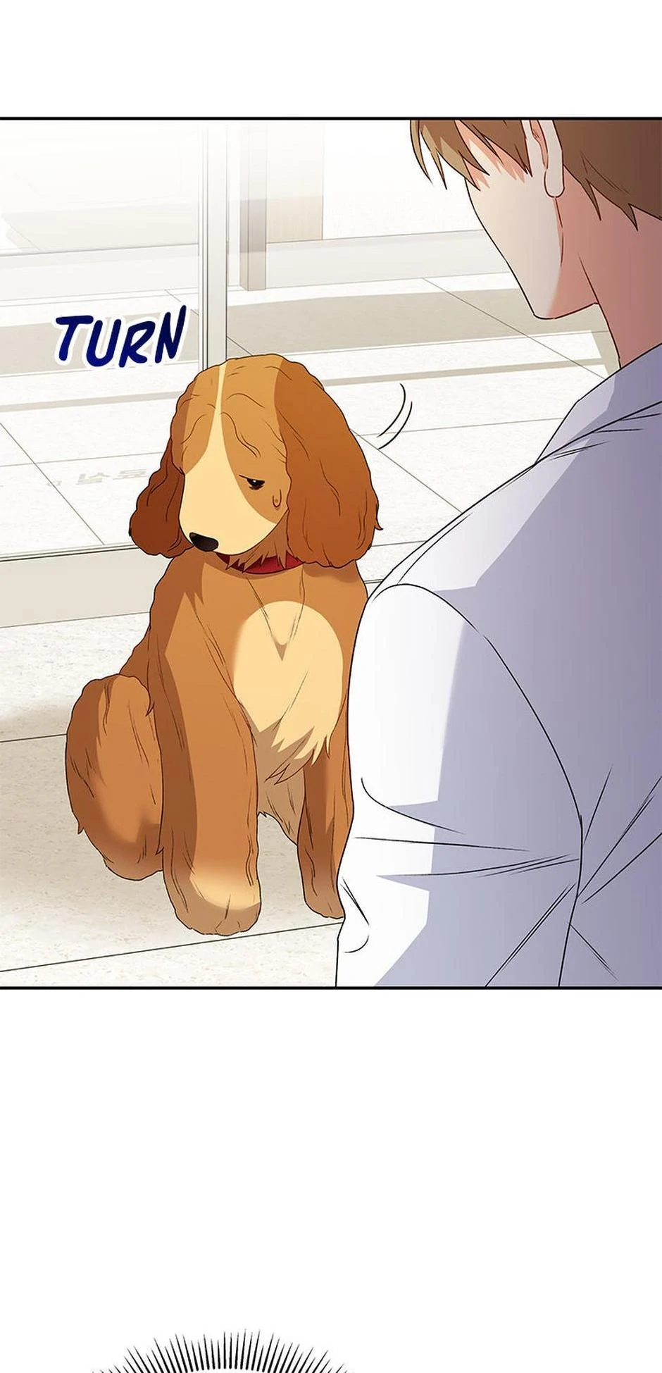 Hello! Veterinarian! chapter 42 page 43