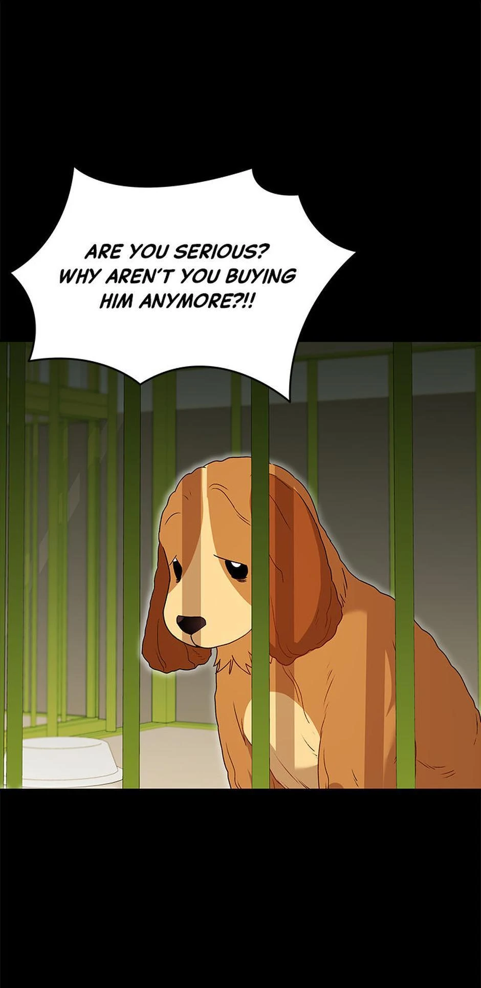 Hello! Veterinarian! chapter 43 page 10
