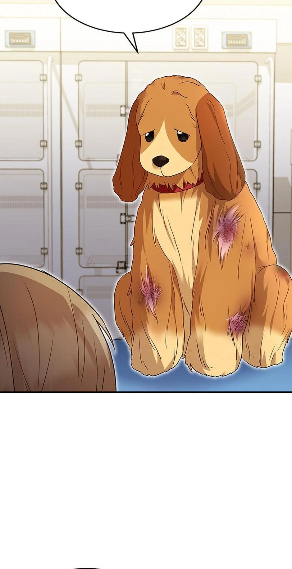 Hello! Veterinarian! chapter 43 page 30