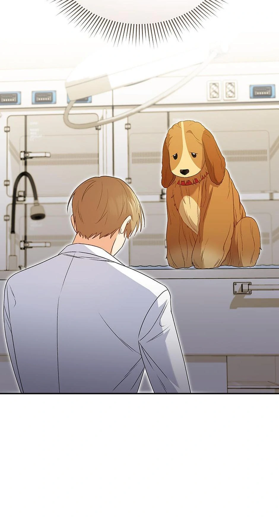Hello! Veterinarian! chapter 43 page 37