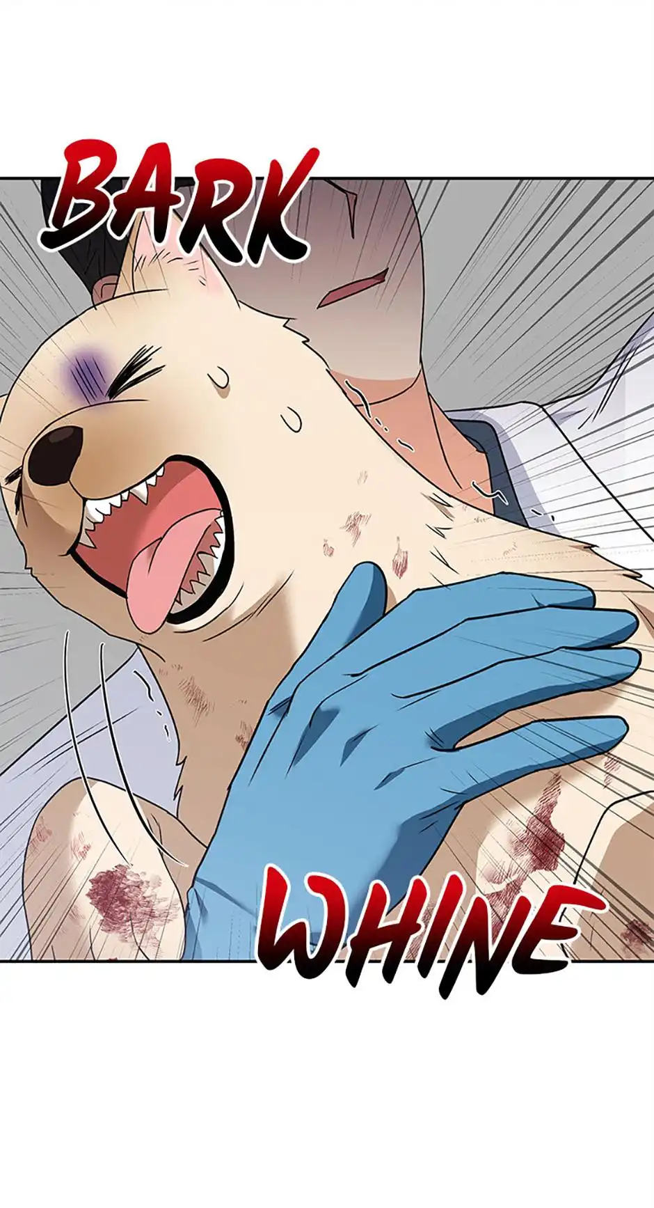 Hello! Veterinarian! chapter 46 page 53