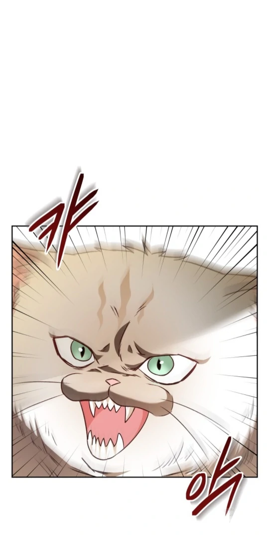 Hello! Veterinarian! chapter 52 page 73