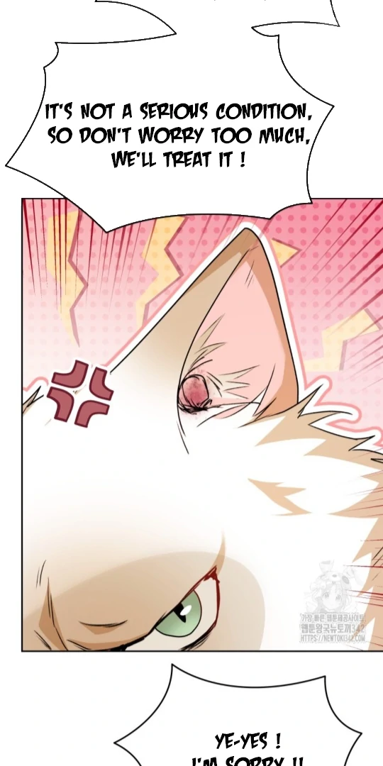 Hello! Veterinarian! chapter 52 page 79