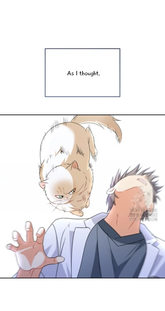 Hello! Veterinarian! chapter 53 page 23