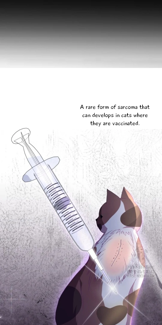 Hello! Veterinarian! chapter 53 page 8