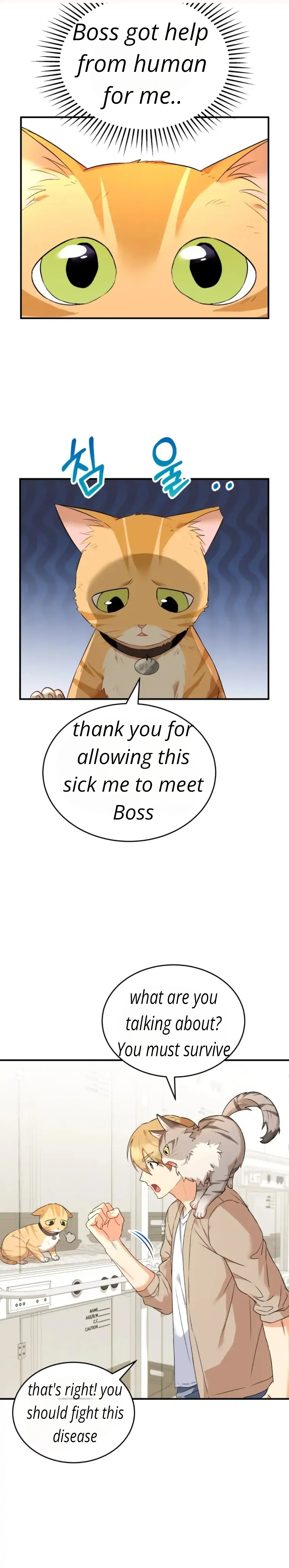 Hello! Veterinarian! chapter 7 page 34