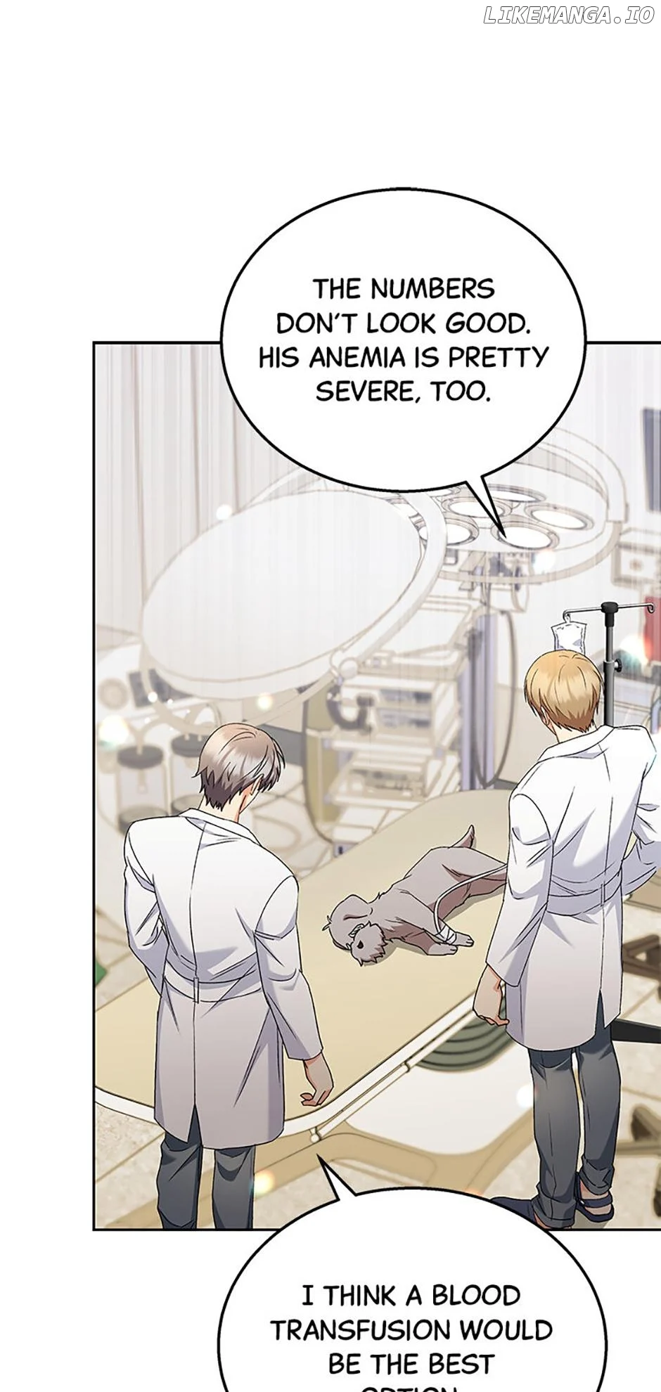Hello! Veterinarian! chapter 71 page 62
