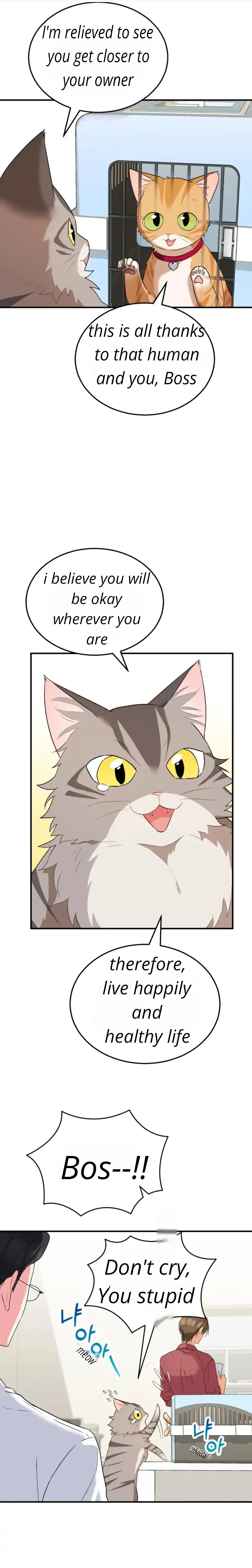 Hello! Veterinarian! chapter 8 page 20