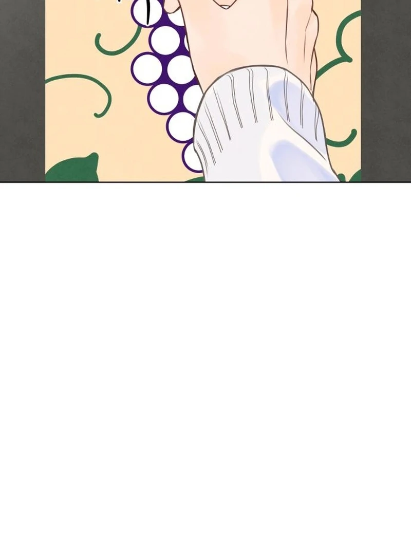 Before The grapes Ripen chapter 14 page 81