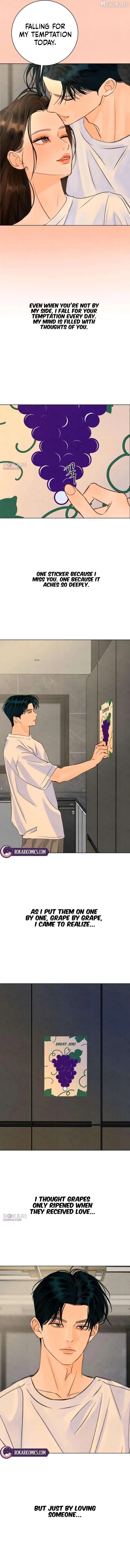 Before The grapes Ripen chapter 42 page 5
