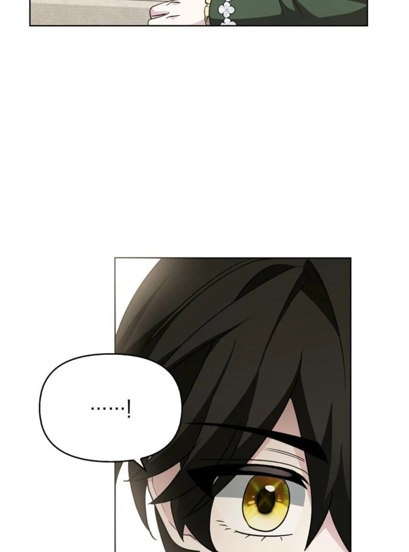 The Villainess’s Wise Retirement Plan chapter 53 page 46