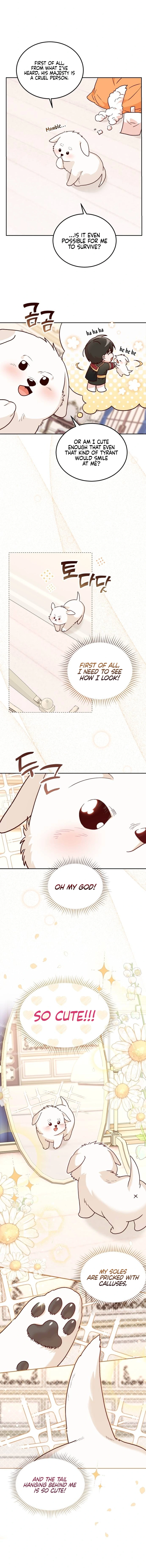 The Emperor’s Puppy chapter 2 page 7