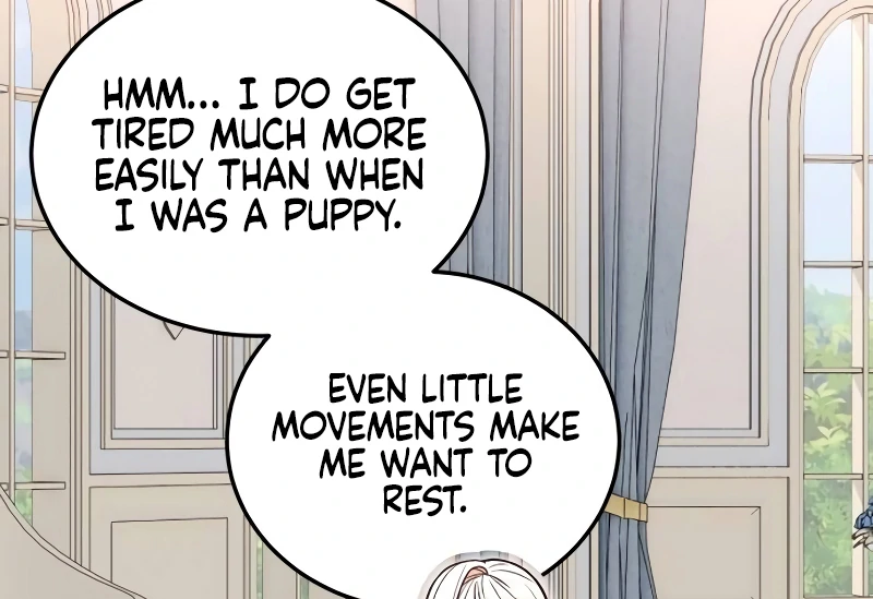The Emperor’s Puppy chapter 31 page 12