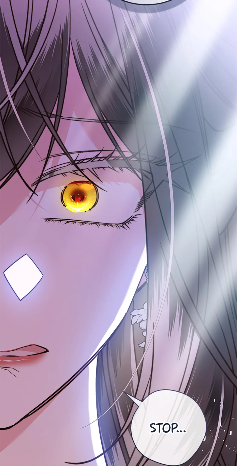 The Guidebook for Villainesses chapter 34 page 81