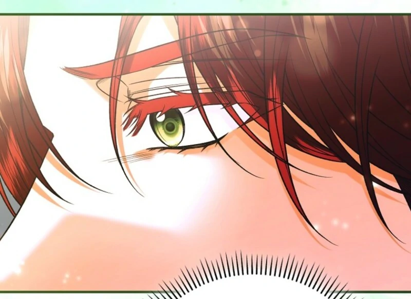 Rejecting The Perfect Marriage chapter 39 page 66