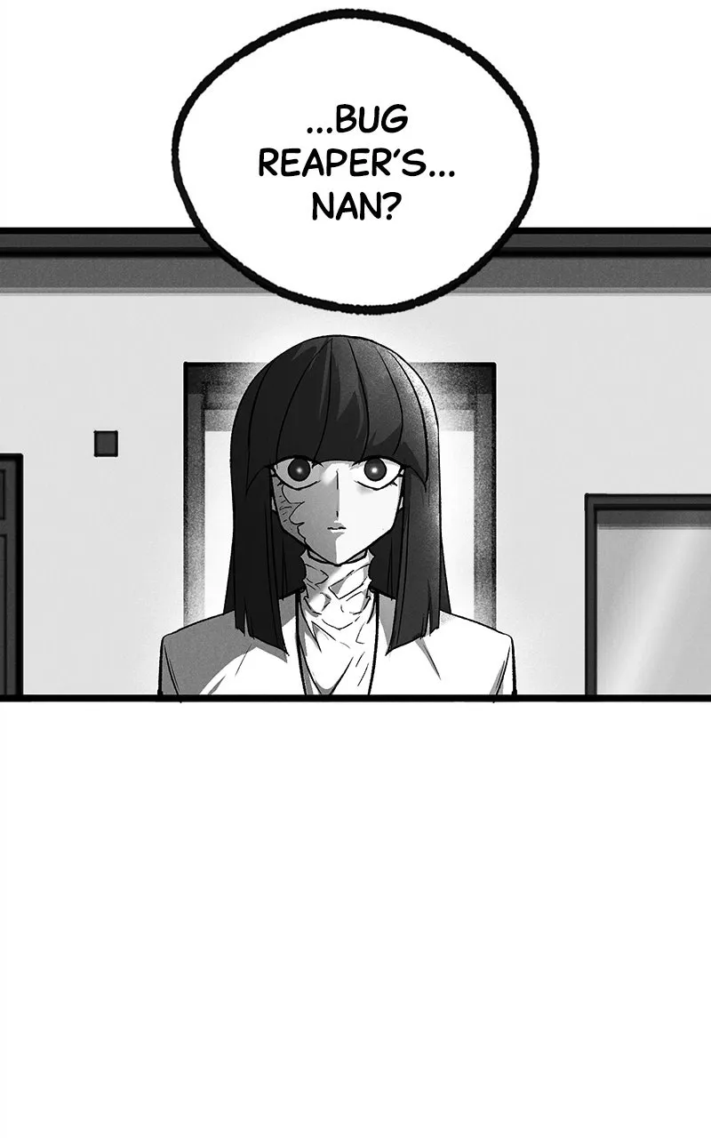Insector chapter 100 page 243