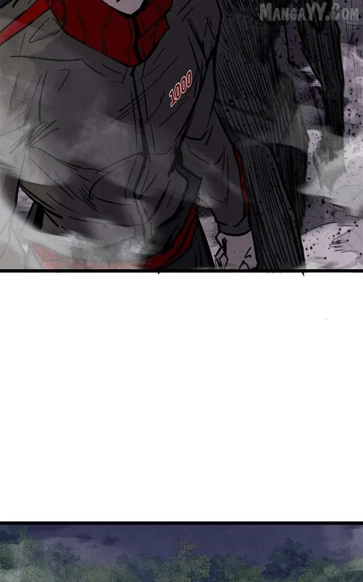 Insector chapter 88 page 29
