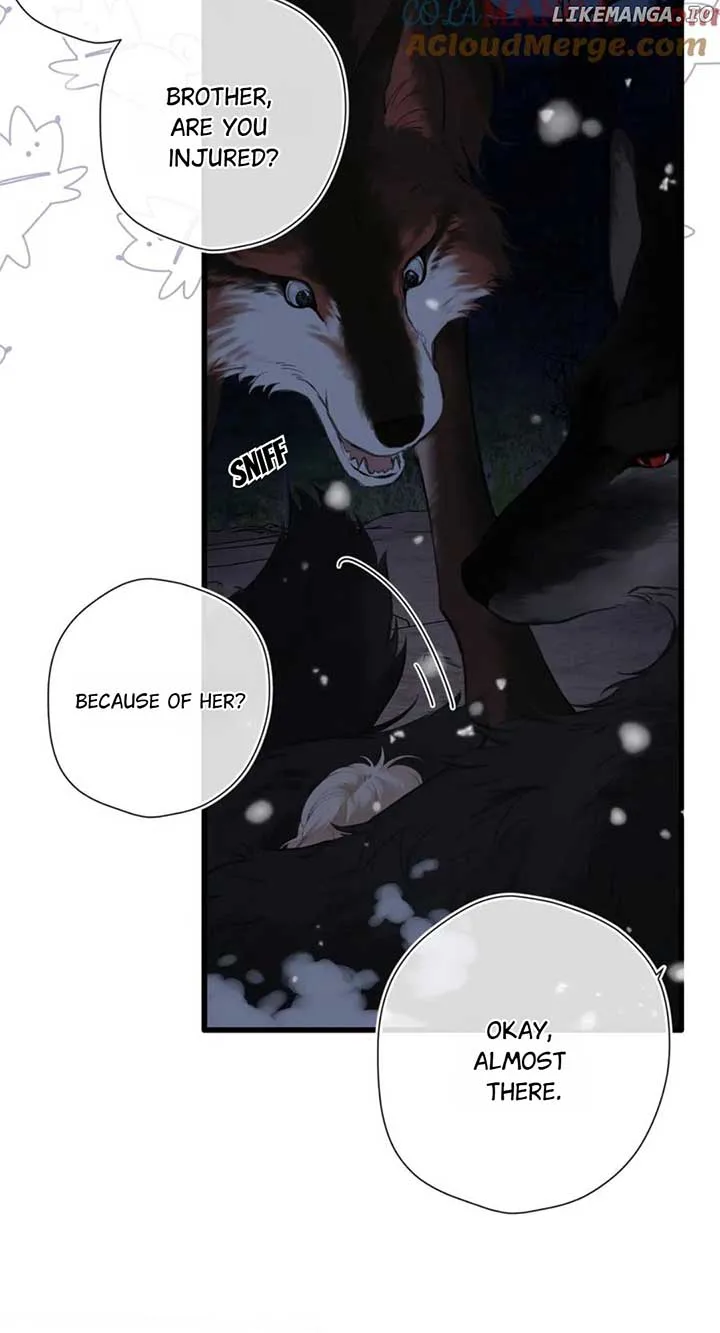 Back to Spring chapter 25 page 4