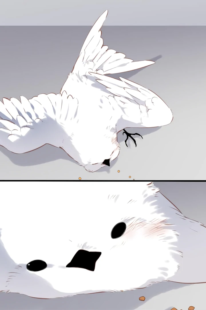 Back to Spring chapter 32 page 45