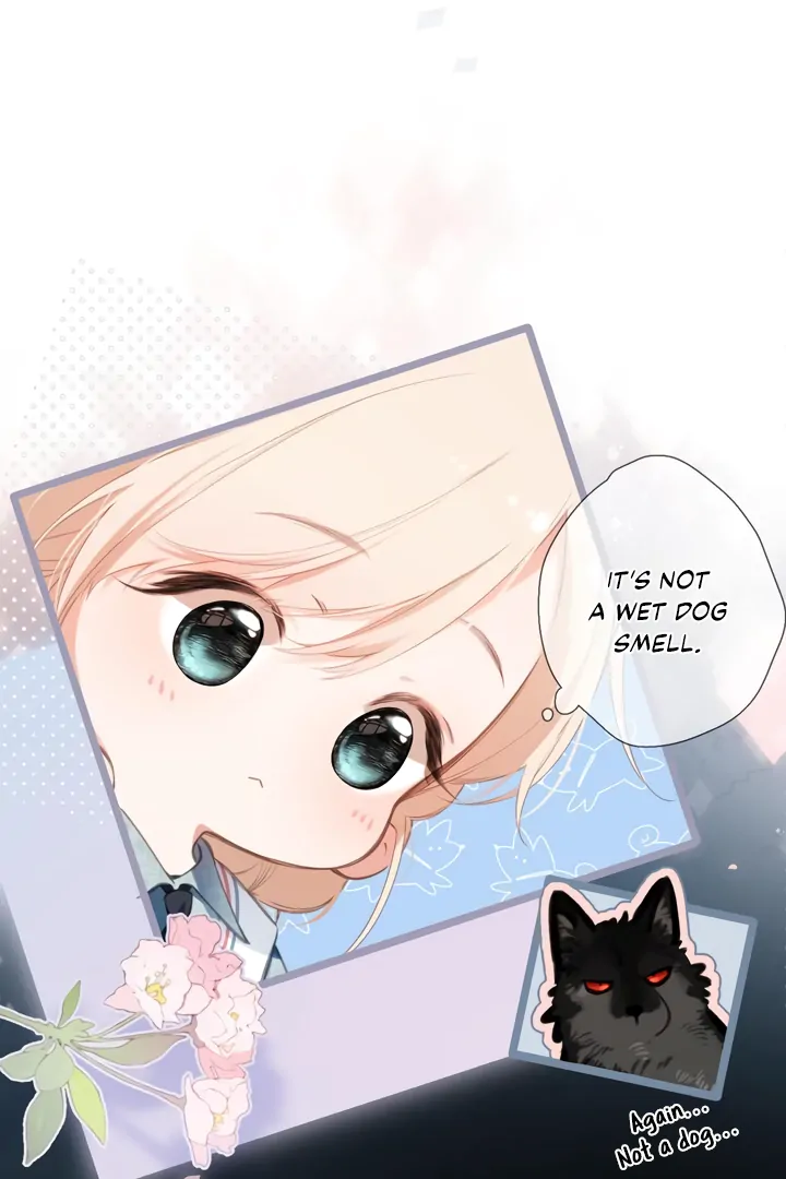 Back to Spring chapter 44 page 13