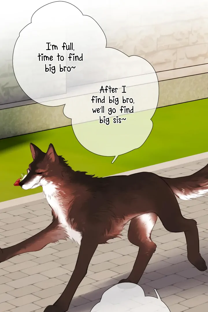Back to Spring chapter 45 page 51