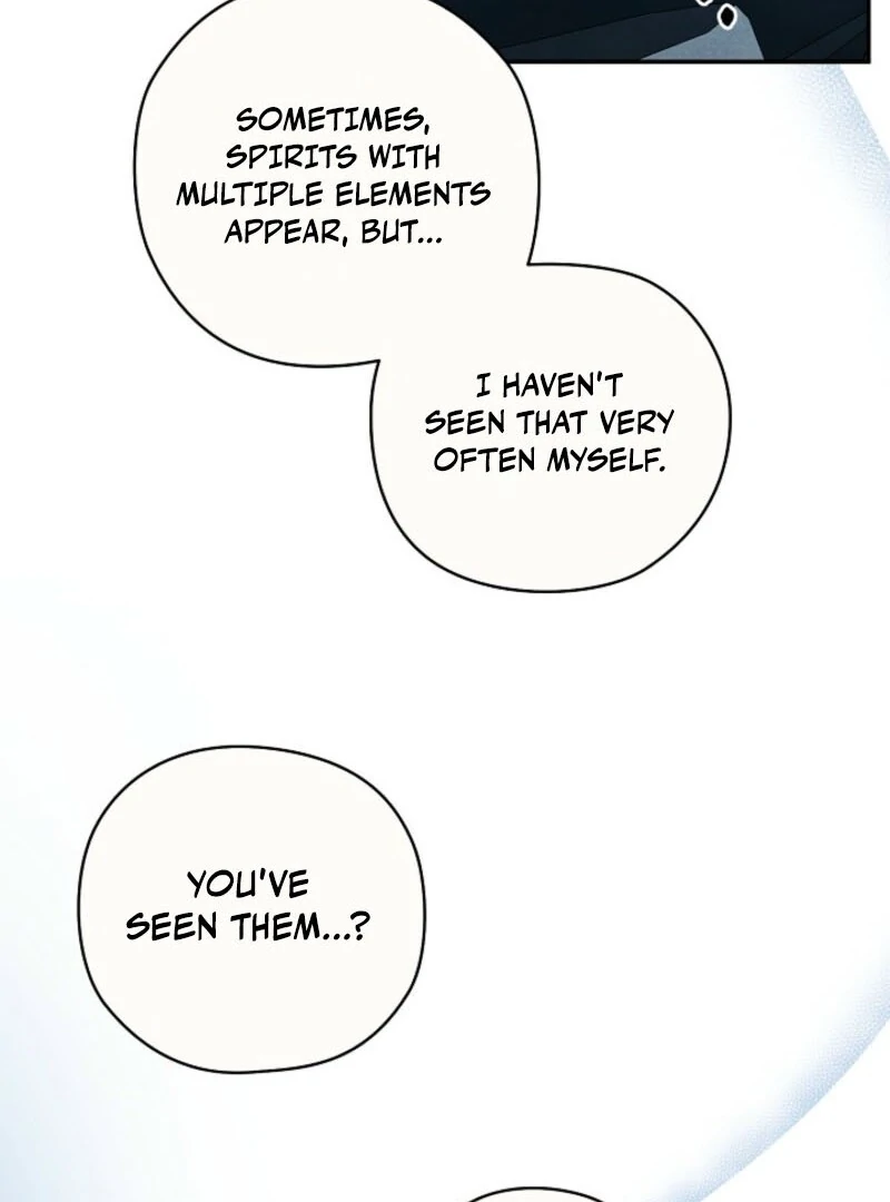 S-Class Spirit Master’s Taming Diary chapter 46 page 71