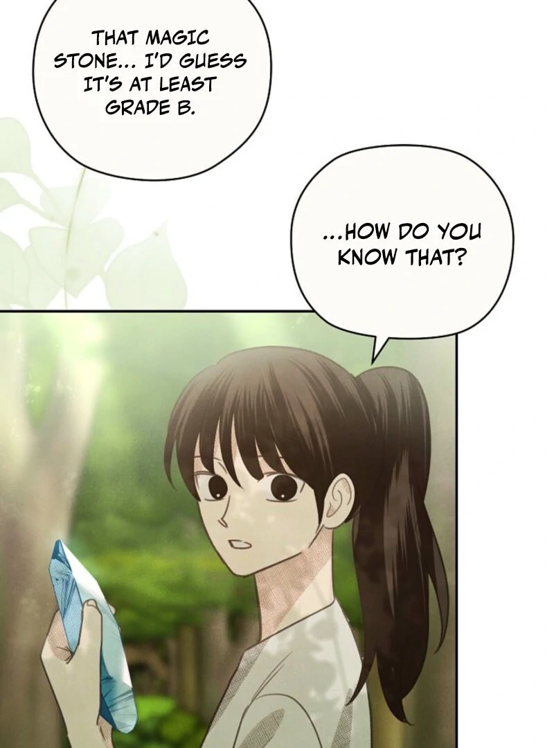 S-Class Spirit Master’s Taming Diary chapter 48 page 18