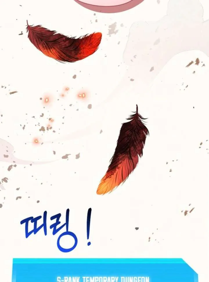 S-Class Spirit Master’s Taming Diary chapter 50 page 31