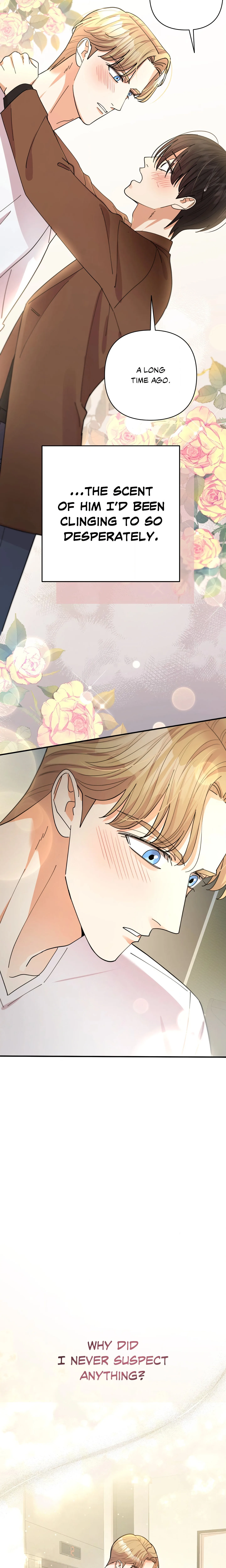 Radiant Darkness (Uncensored) chapter 43 page 17