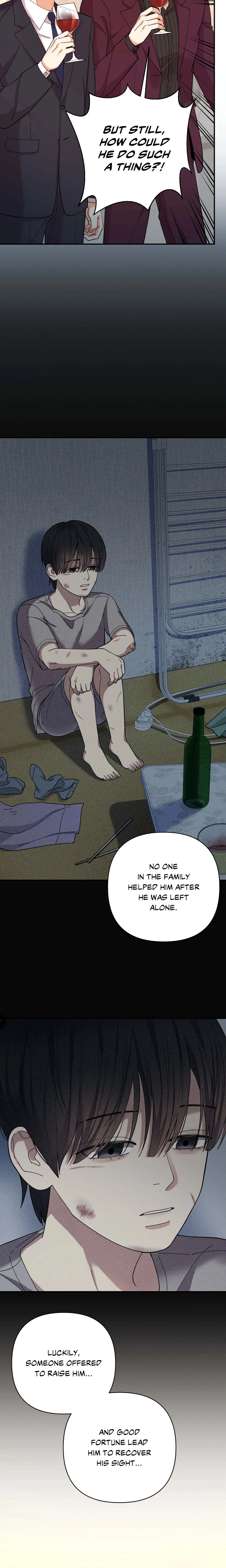 Radiant Darkness (Uncensored) chapter 8 page 15