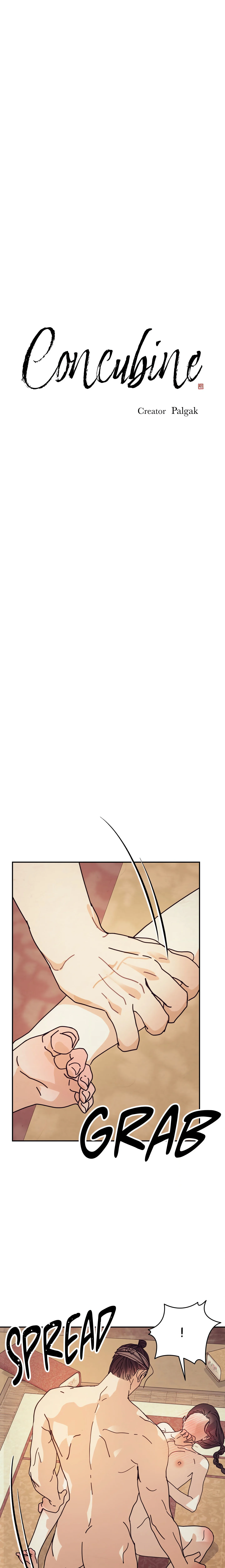 Concubine (Palgak) (Uncensored) chapter 3 page 1