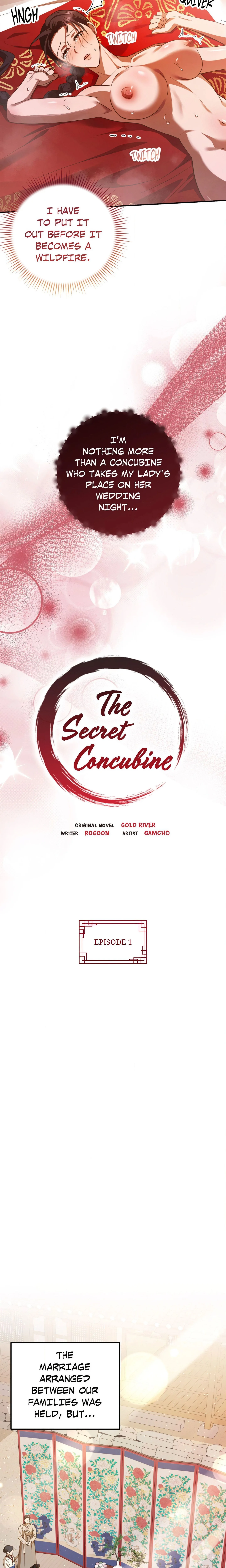The Secret Concubine chapter 1 page 5