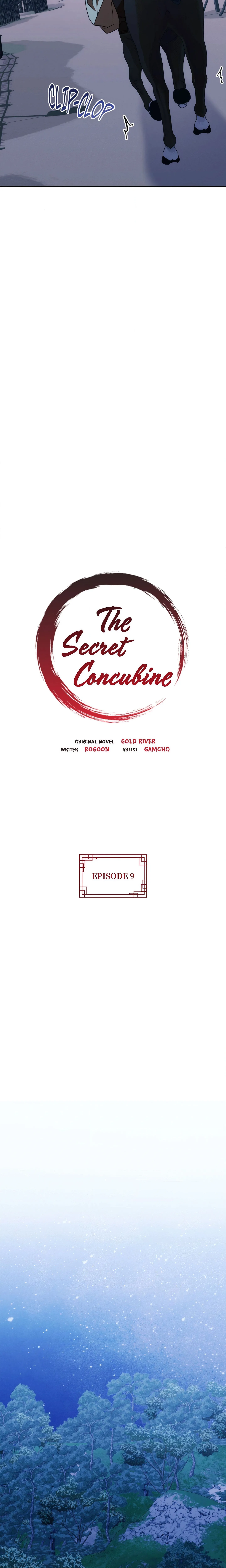 The Secret Concubine chapter 9 page 13
