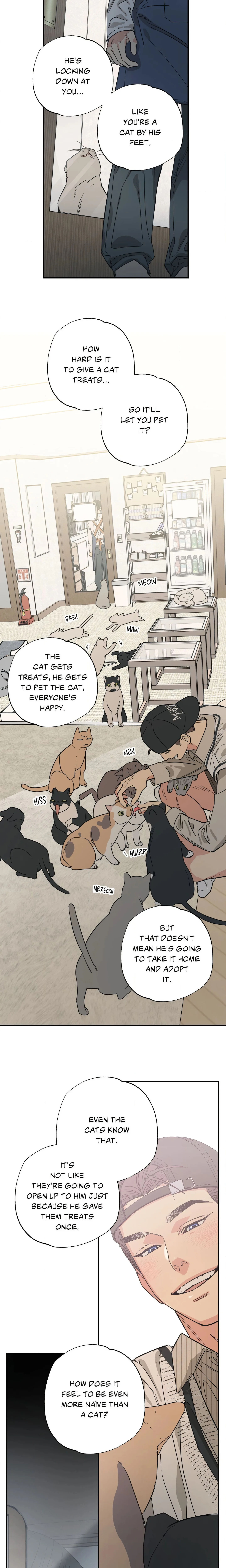 Purrfect Choice (Uncensored) chapter 13 page 3