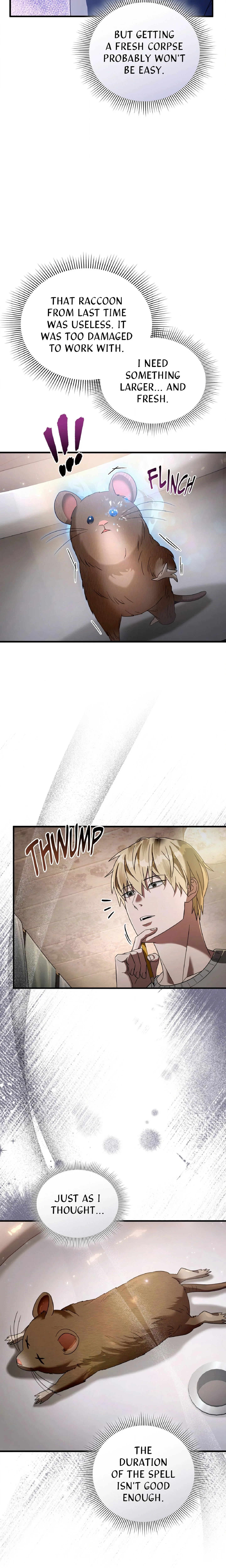 Illusion Hunter from Another World chapter 45 page 4