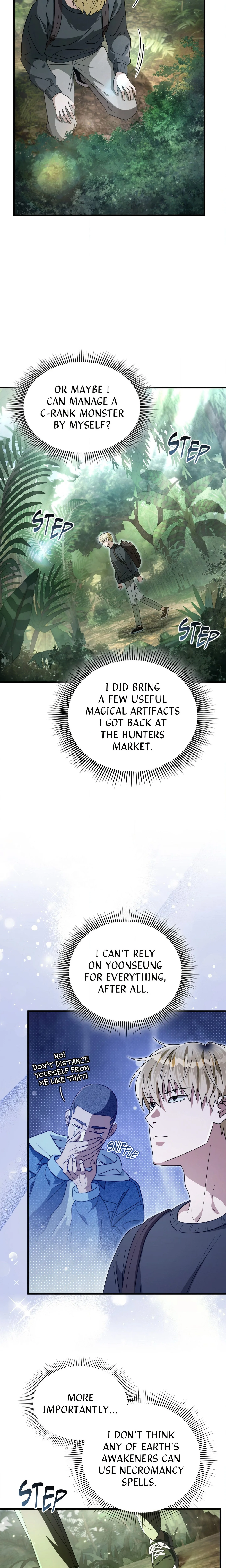 Illusion Hunter from Another World chapter 49 page 7